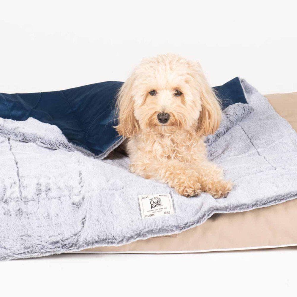 DGS Chill Kuzzi teppe - 76x102 cm - Blå