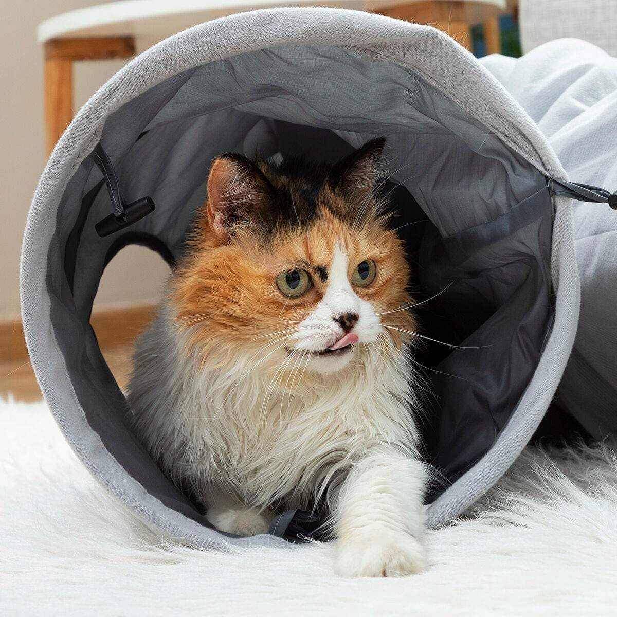 Morsom tunnel for katt - sammenleggbar