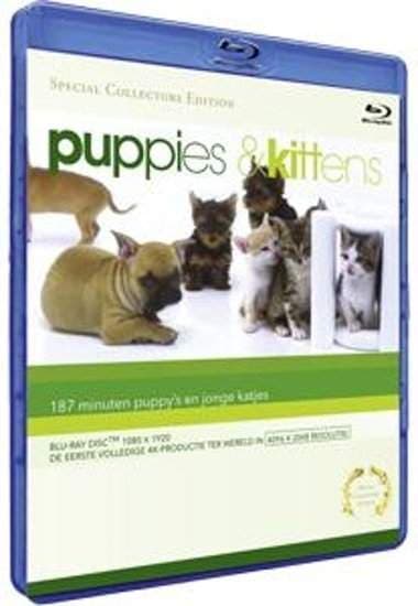 Blu-Ray valper og kattunger