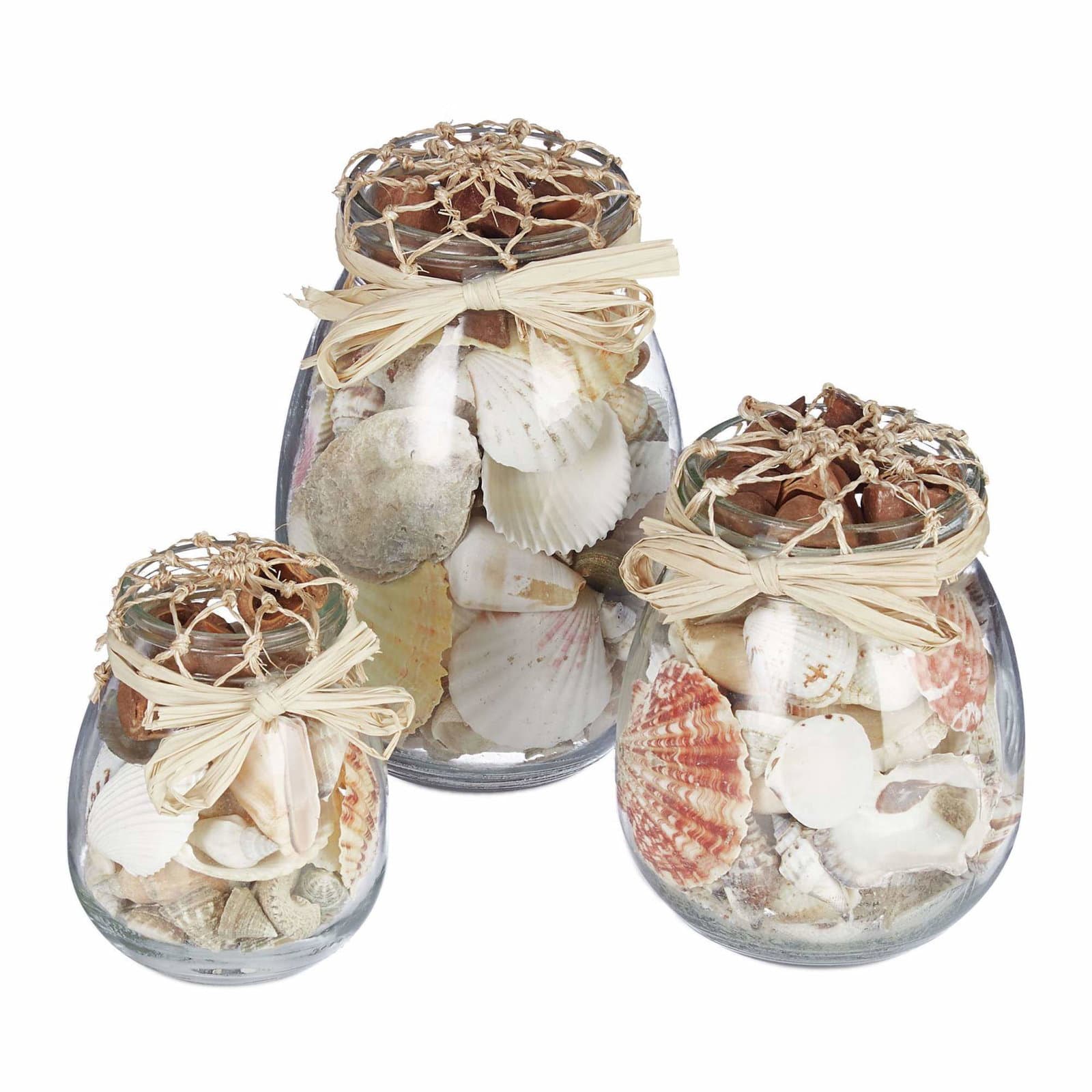 Seashell Jar sett med 3