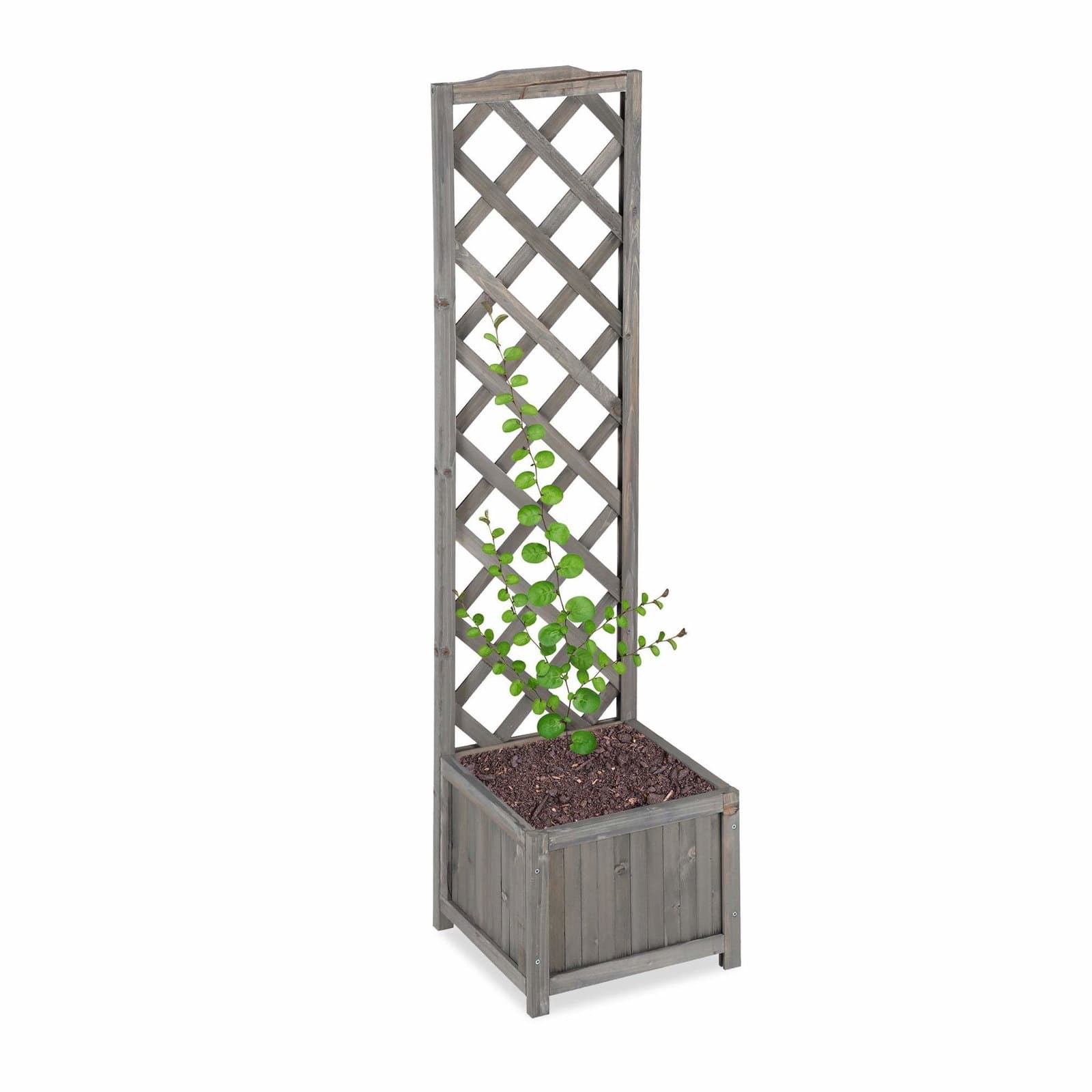 Grå plantekasse med espalier