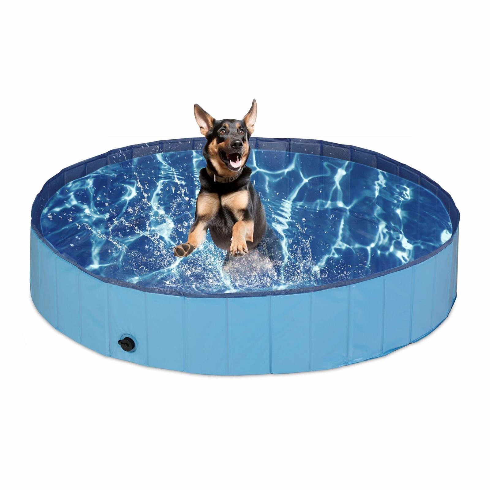 Blå hundebasseng