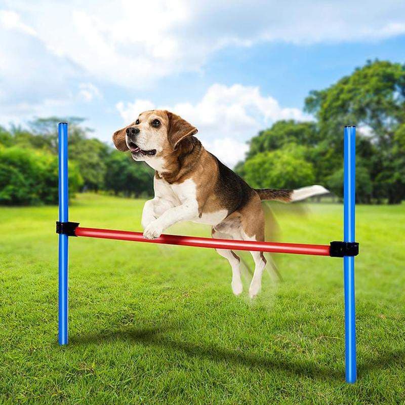 Agility-hinder - 85 x 70 cm