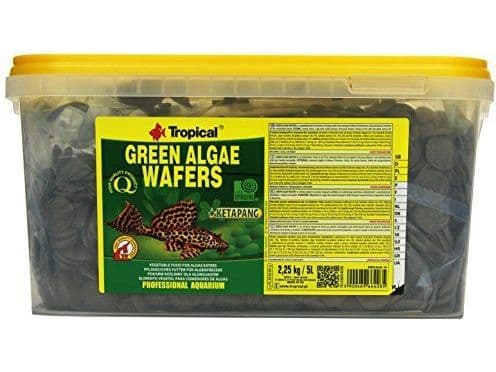 Tropical GREEN ALGAE WAFERS bøtte 5 l