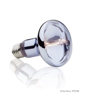 Exo Terra Sun-Glo Halogen - 100W x