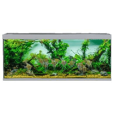 Akvastabil Element Akvarier - 240 liter - Grå