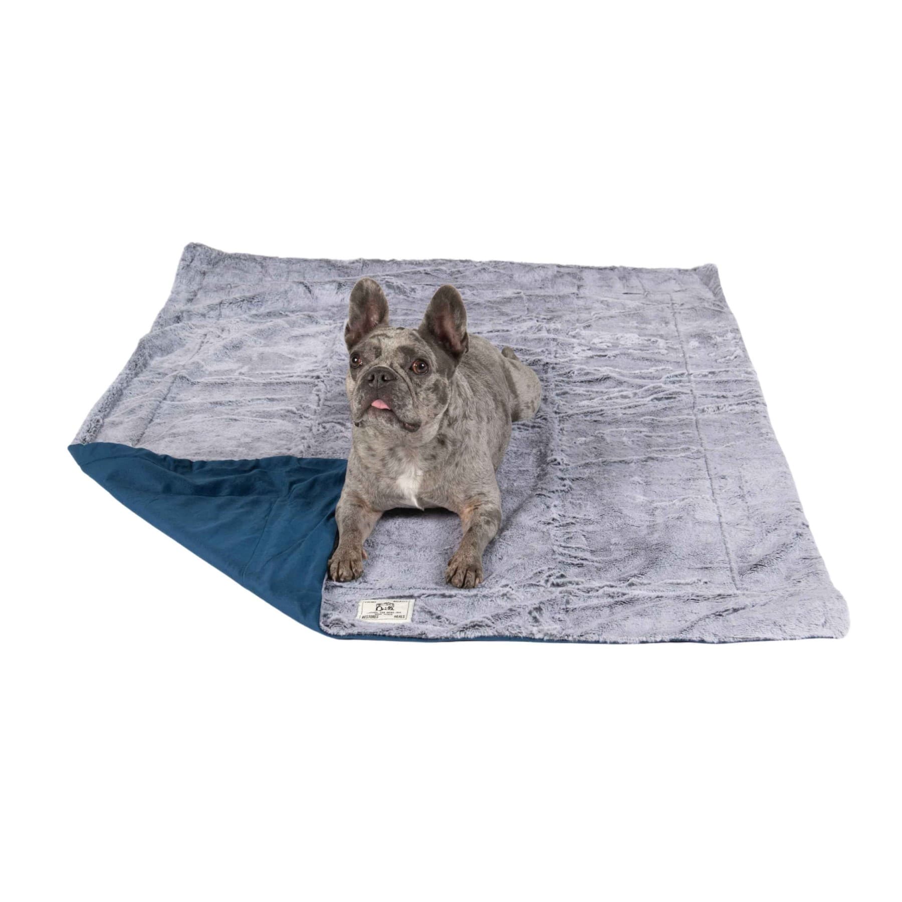 DGS Chill Kuzzi teppe - 102x127 cm - Blå