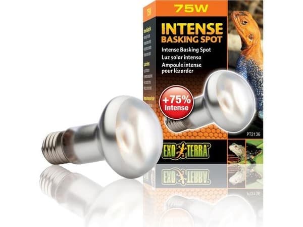 Hagen EXOTERRA INTENSE SPOT 75W pære