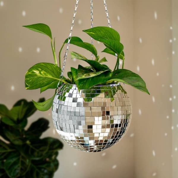 MikaMax FUNKY DISCO-POTTEPLANTE