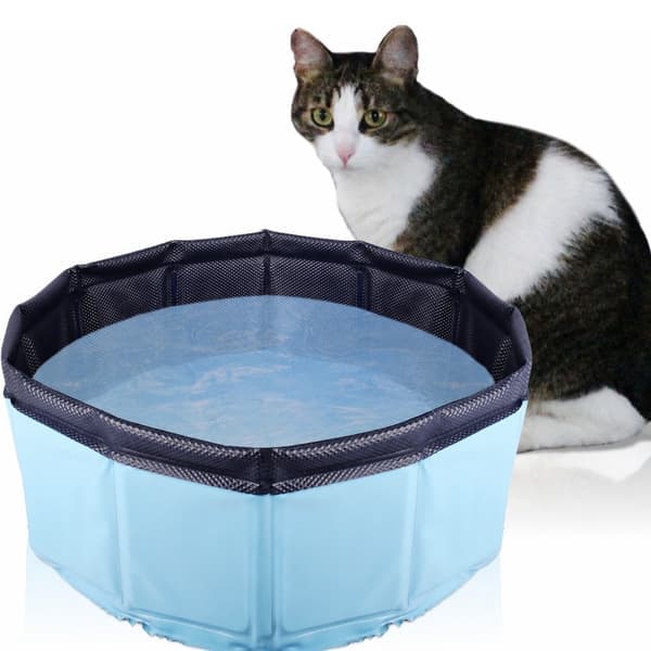 Sammenleggbart kattebasseng - PVC kattebad for katter og kattunger til bading og lek, plassbesparende og vannbesparende, blå