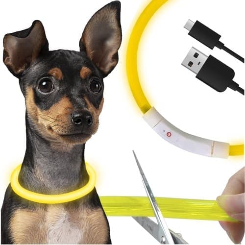 LED Hund / Katt Halsbånd - Oppladbart