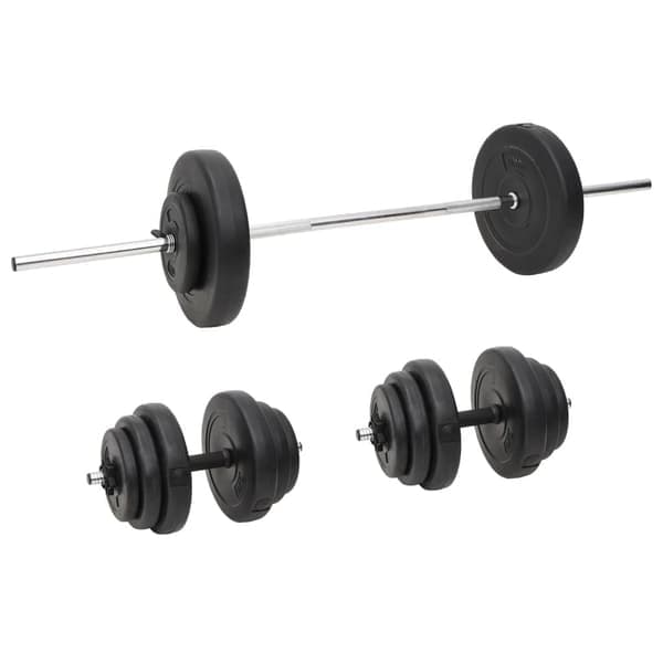 vidaXL Vektstang og manual med skiver 60 kg