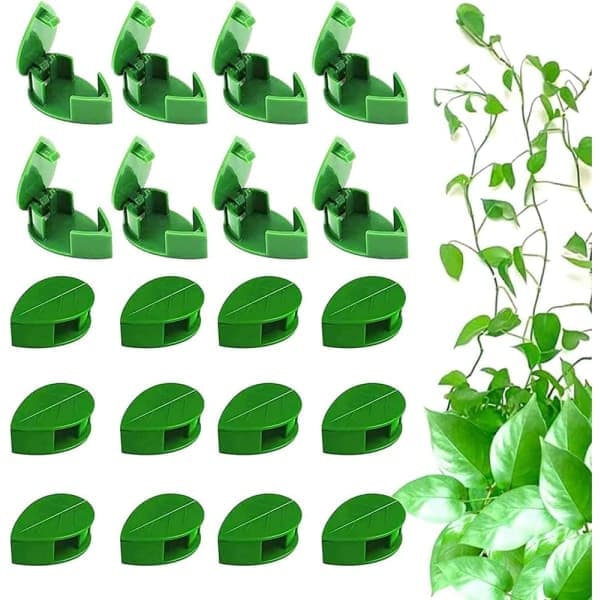 50 planteclips Klatreplanteclips Festplanteclips Selvklebende