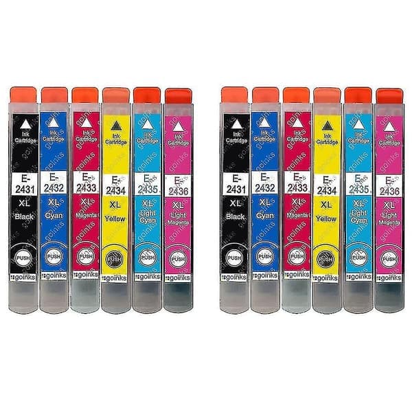 2 Sett med 6 blekkpatroner for å erstatte Epson T2438 (24xl-serien) Kompatibel/ikke-OEM fra  (12 blekk)