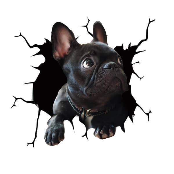 4 stk 3D Fransk Bulldog Hundestikker Kjøleskapsdekor Fransk