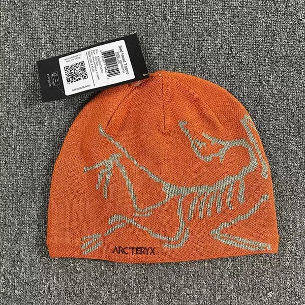 Lue ARC'TERYX Herre Lue Casual Varm Vinter Skilue