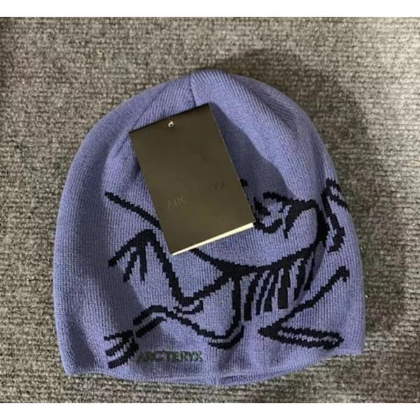 Lue ARC'TERYX Herre Lue Casual Varm Vinter Skilue Svart