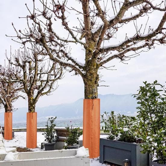 Vinter Palmetre Beskytter Trestamme Isolasjonsdeksel med Snøring Kaldt Vær Trestammeinnpakning for Hage Beskytt Tre mot Frost Snø Is Hjort