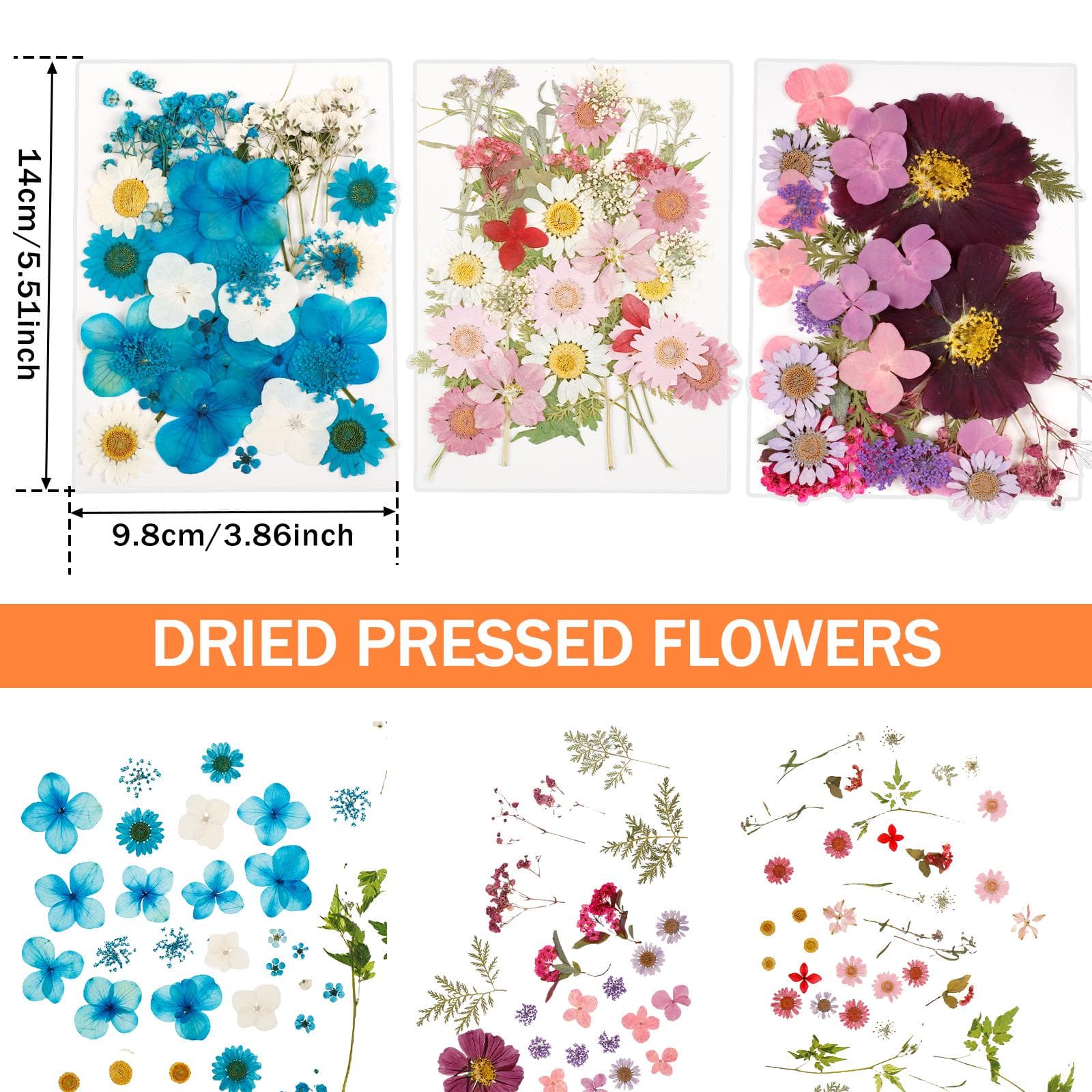 104 stk pressede tørkede blomster sett Ekte naturlige pressede blomsterblader DIY Flerbruks Ekte pressede blomster Tørkede blader Sett