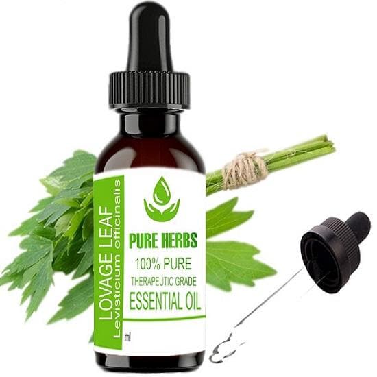 Pure Herbs Løpstikke Blad (Løpstikke) Ren og naturlig eterisk olje av terapeutisk kvalitet i plast med dråpeteller
