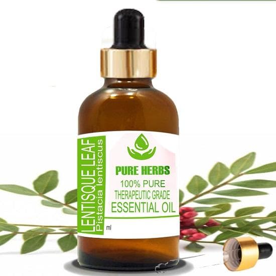 Pure Herbs Mastiksalvie Blad (Mastikstre) Ren og naturlig terapeutisk kvalitet eterisk oljeglass