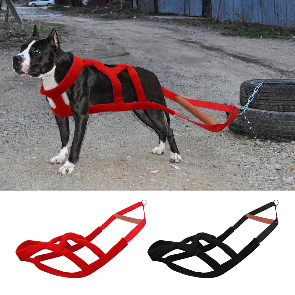 Slitesterk Vektrekksele for Stor Hund Hundeslede Sele For Middels Store Hunder Schæfer Trening Kjæledyr Agility Produkter Rød