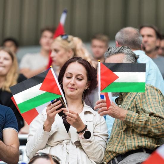 10/20/50/100 stk Palestina miniflagg med håndholdt stang små palestinske pinneflagg Miniatyrhåndviftende flagg