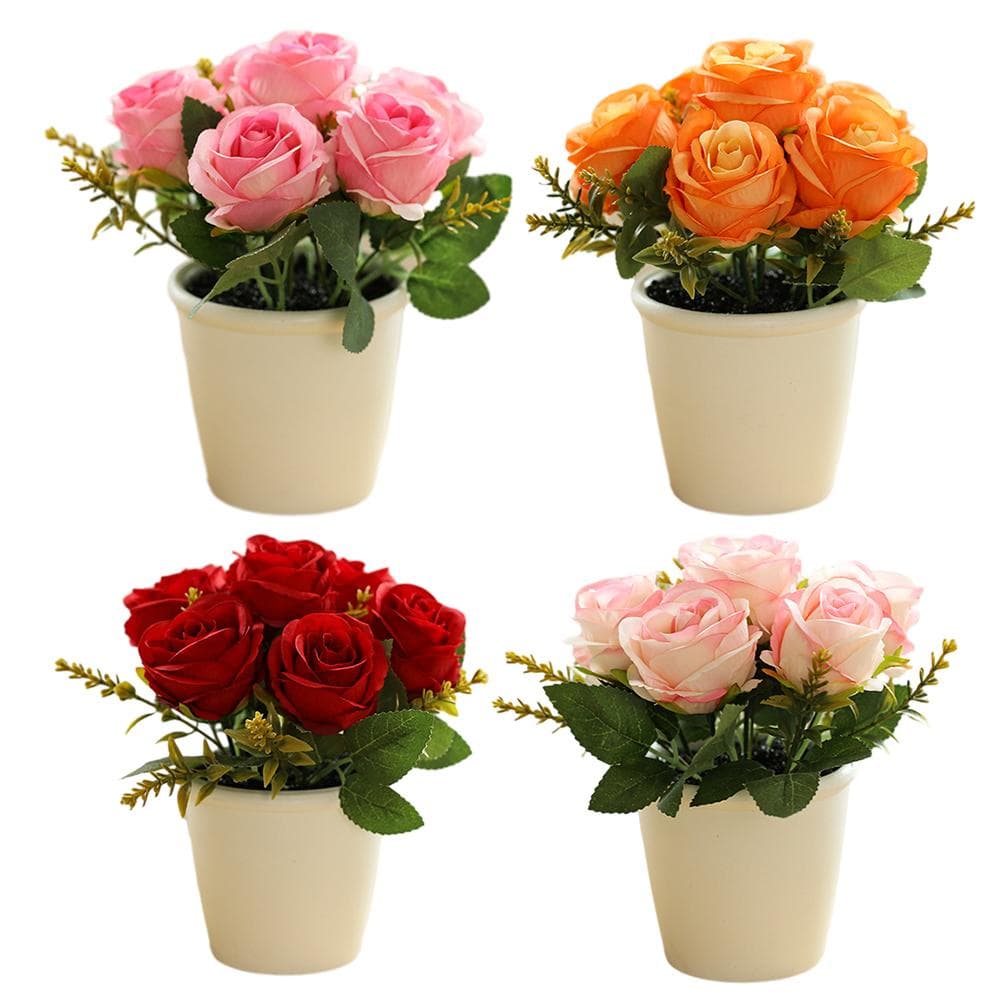 Utsøkt Rose Flower Freshing House Plant Natural Potted Rosa