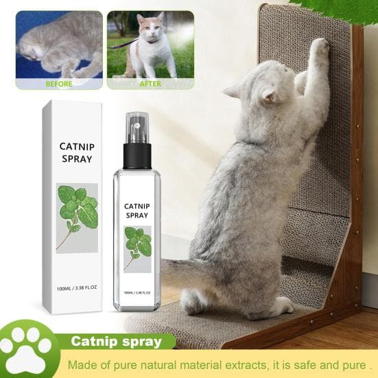 100ML Kattemynte Spray Lindre Angst Avslapning Katte Treningsspray Naturlig Trygg Helse
