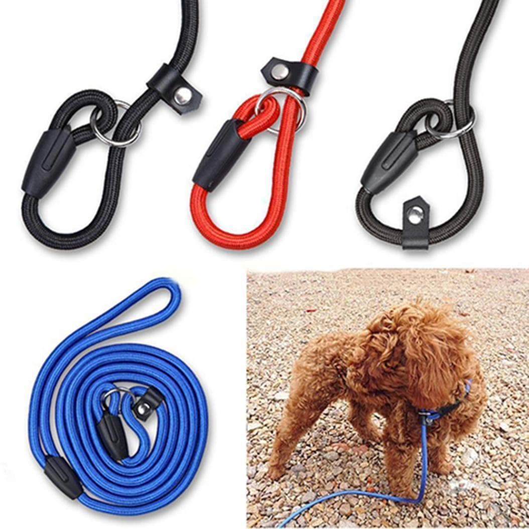 Kjæledyrhund Justerbar Nylon Treningsbånd Ledd Stropp Tau Utendørs Trekkhalsbånd Svart
