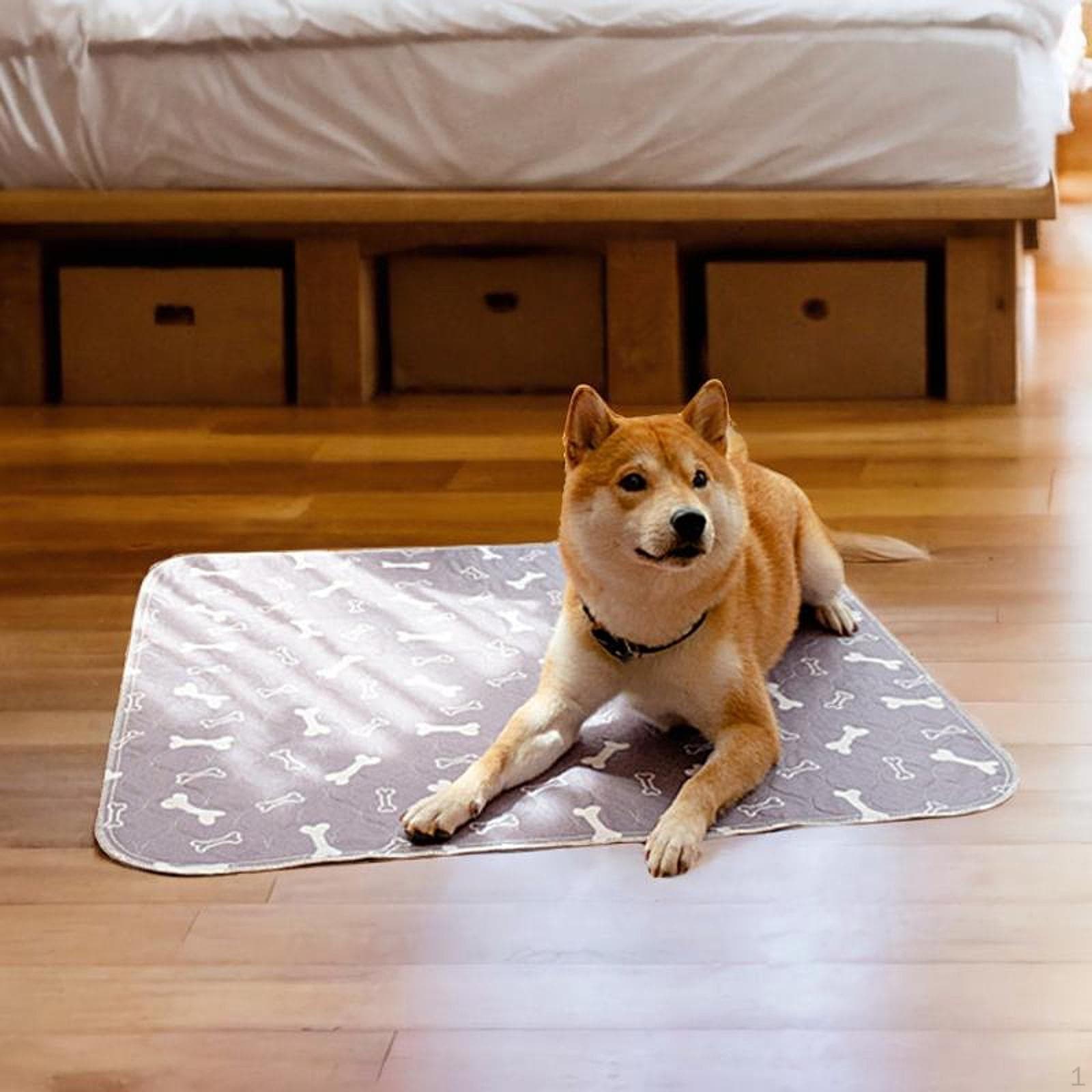 Tisseunderlag for hund til trening, Gjenbrukbar matte kjæledyr, Vanntett potteløsning Lekegrind og bur brun