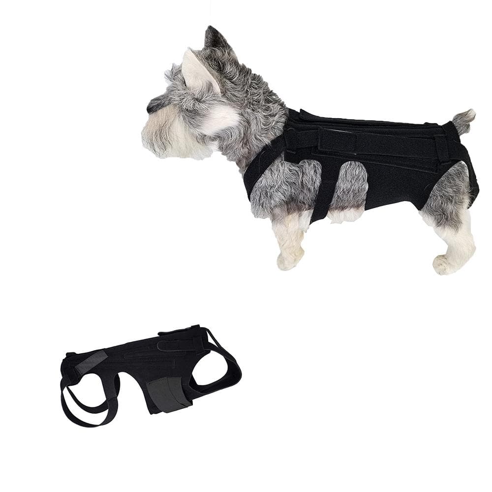 Ortopedisk støtte for hunder med intervertebral brokk, svart belte for ryggen s / m/l