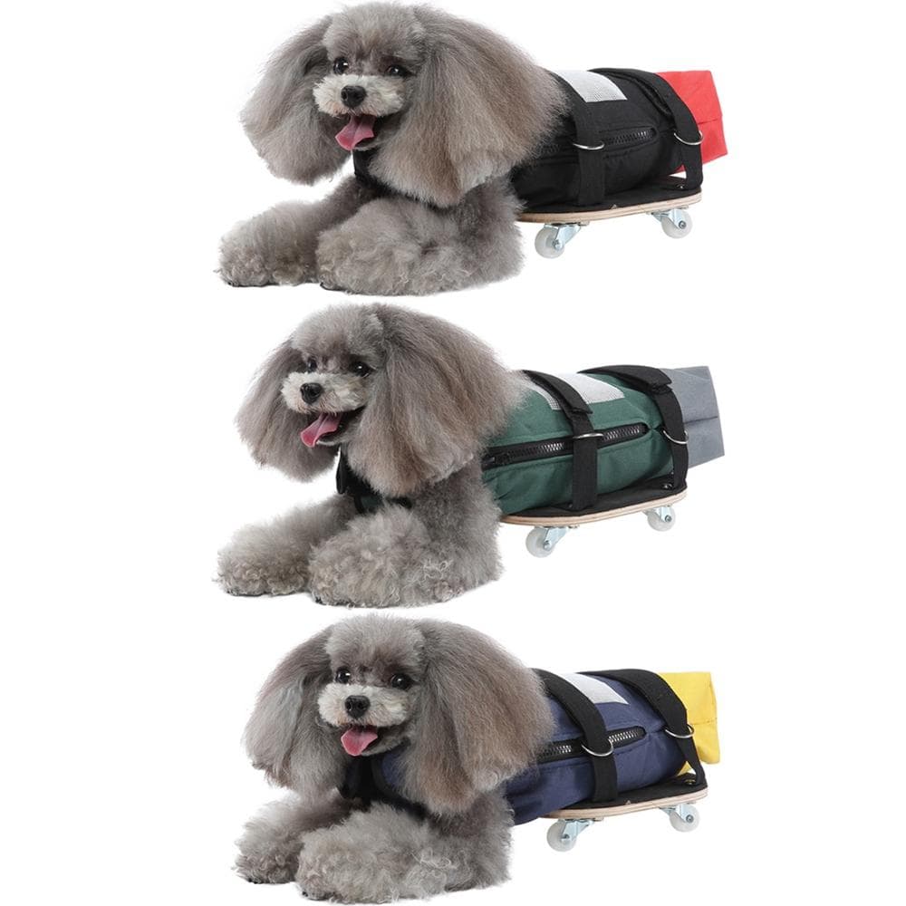 Kjæledyr Rullestol med Skyvehjul Funksjonshemmet Gammel Hund Katt Pleie Gåassistanse Kjøretøy Scooter Grønn