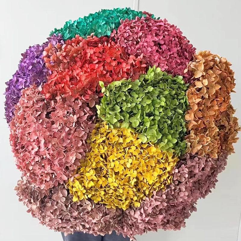 Anna Hortensia Evig Blomsterbukett, Fargeabsorberende Hortensia Enkel Gren Hjemmeinnredning Blomster Myke Tørkede Blomster brun