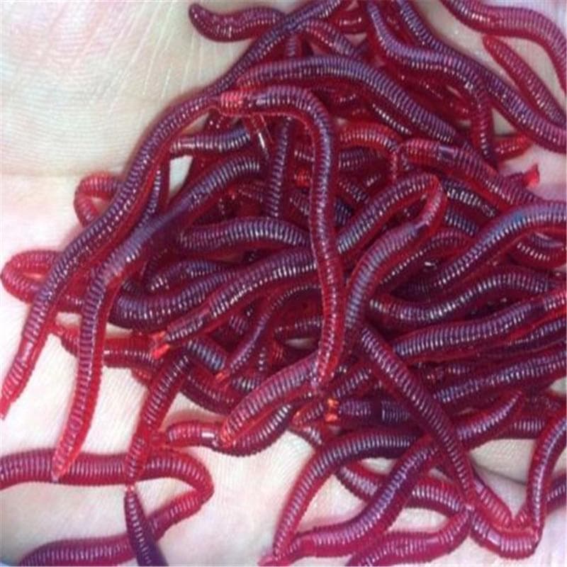 Plast 50 stk/parti 4cm Lukt Rød orm lokker Mykt agn Ormer Fiske Takcle Grub Fiskeleker