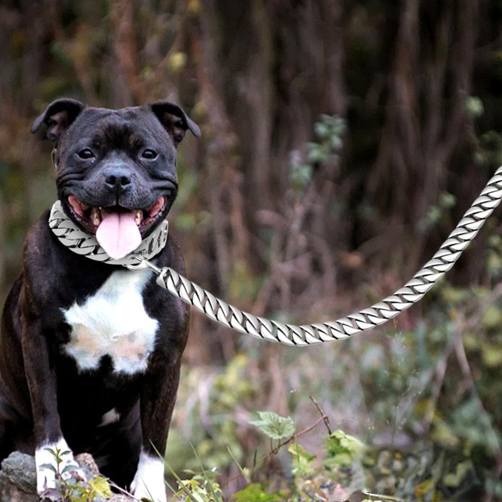 32 mm stor hund i rustfritt stål kjæledyrprodukter Skinnhåndtak trekktau Titanstål Stor hundestøpt hundekjede