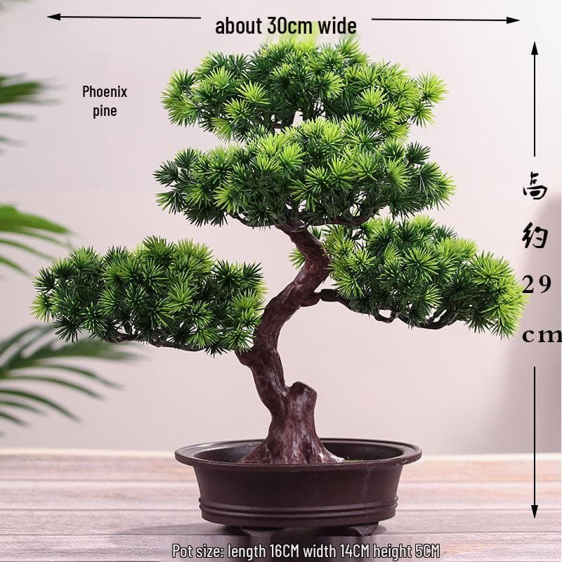 Kunstig furu bryllupsblomsterarrangement: Grønn Pengeplante Bonsai for Hjemmedekorasjon