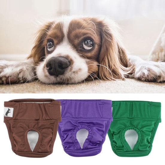 Kjæledyr Menstrusebukser Borrelås Komfortabel Lekkasjesikker Hundeblærebleie for Menstruasjon Inkontinens Potteskolering brun