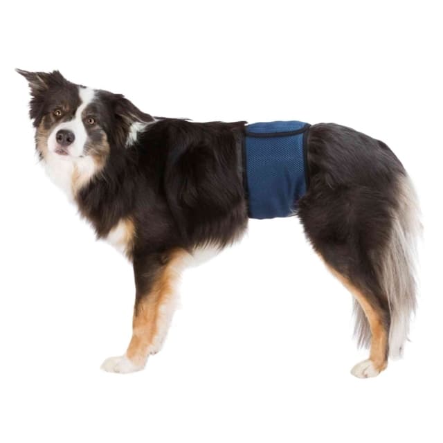 Trixie magebelte for hannhund - Medium