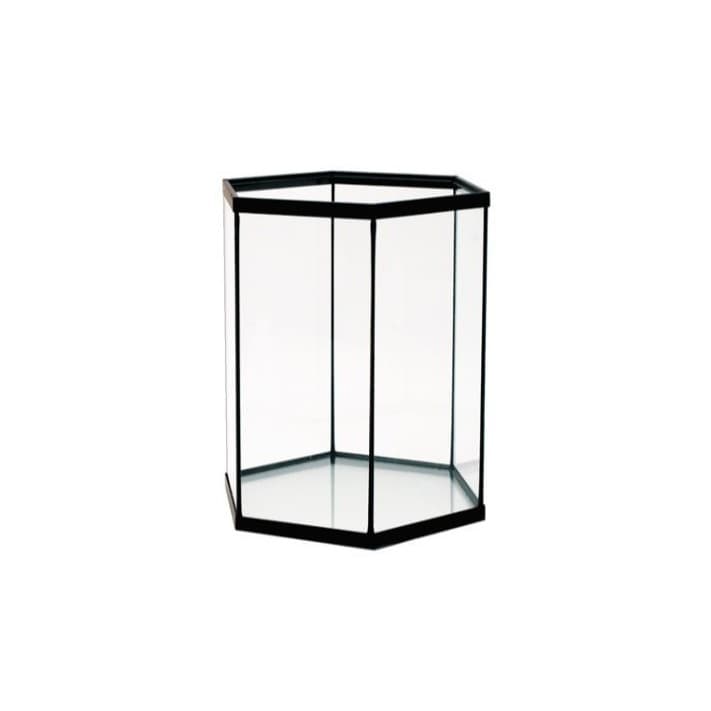 6 kantet glassakvarium høy modell - 42ltr