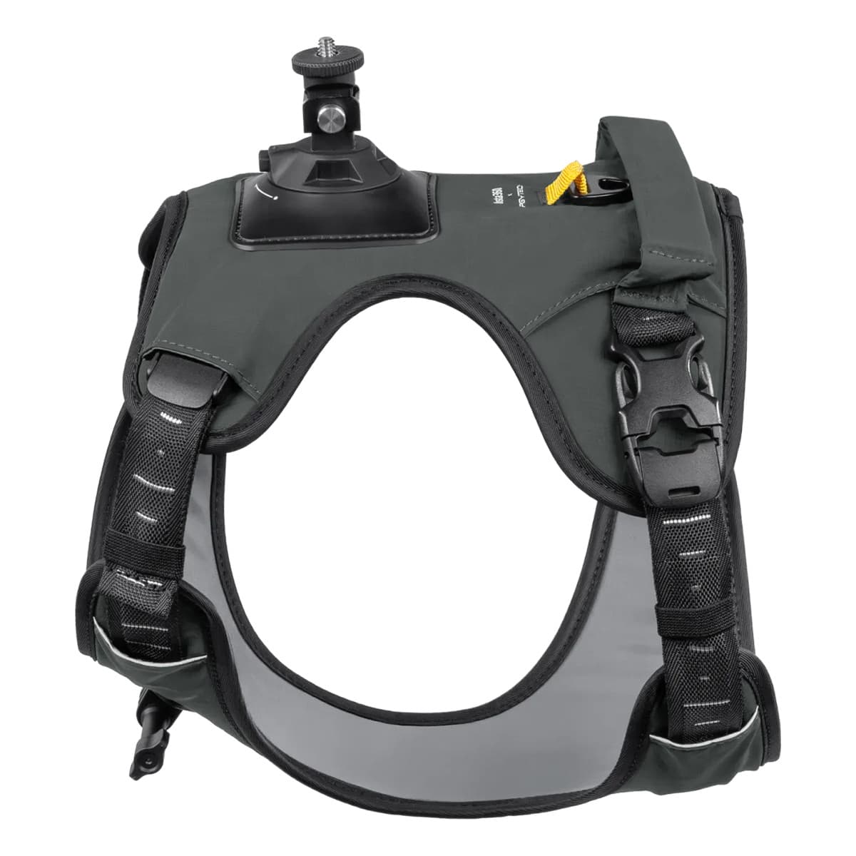 Insta360 Actionkamera Selefeste for Kj??ledyr ??? Large