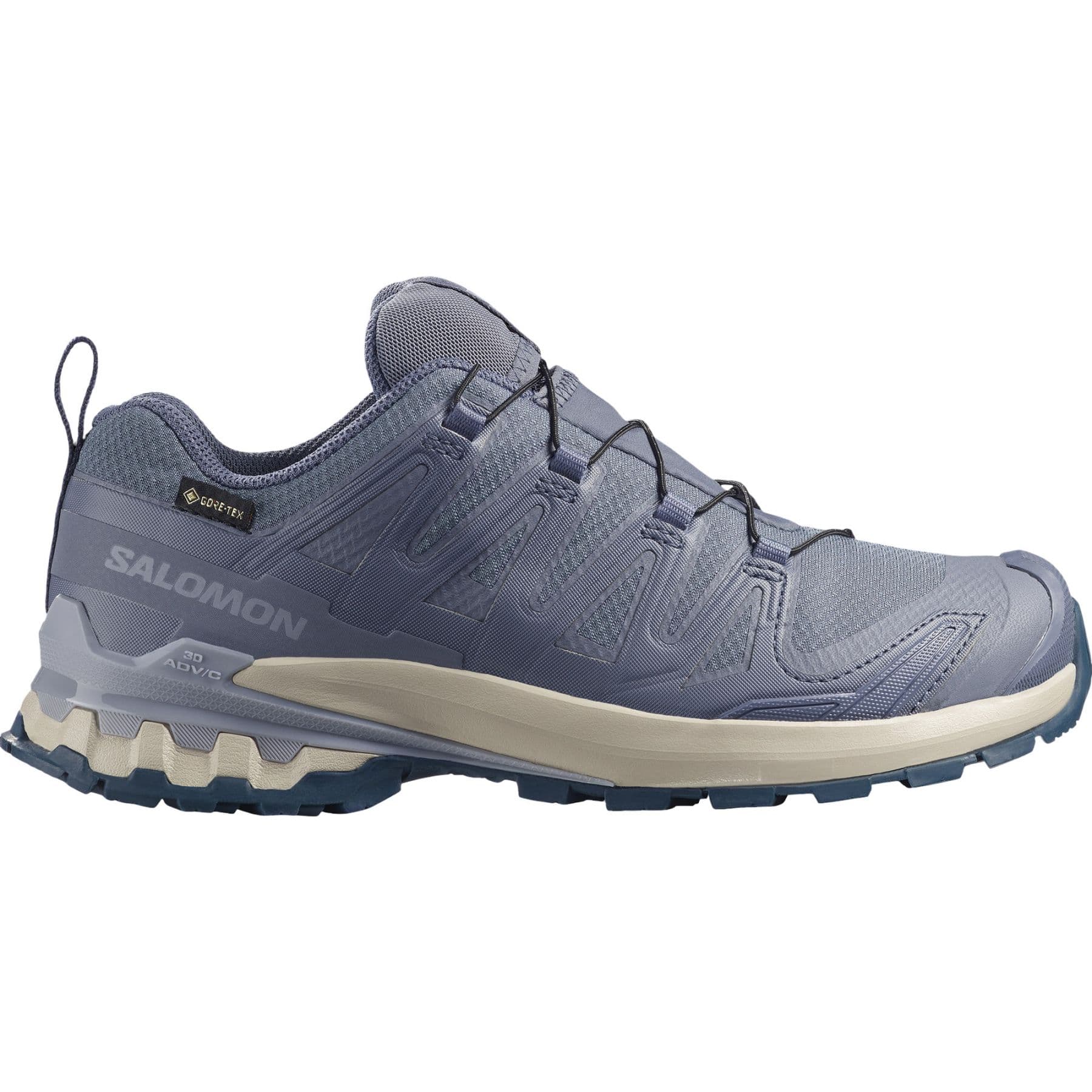 Salomon XA PRO 3D V9 GTX, Trailsko, Dame, Grisaille/Tradewinds/Spellbound