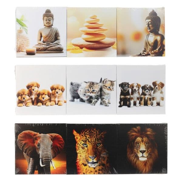 Canvas 3 bilder 20x20cm | 3 ass