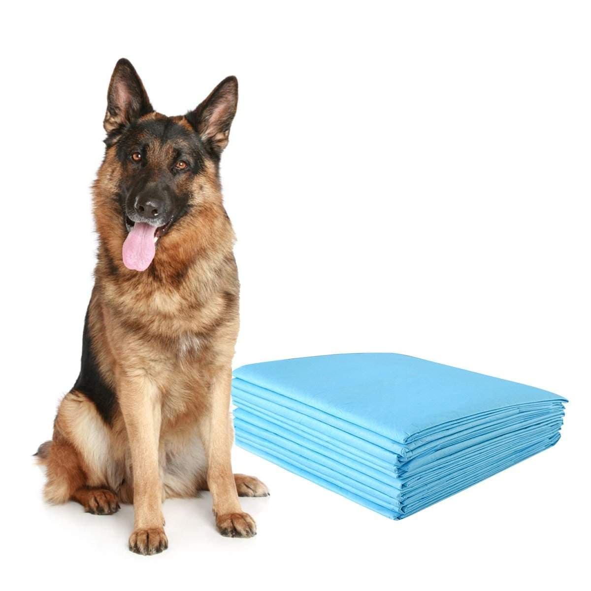Treningsputer for kjæledyr – 75x75 cm, 5-lags absorberende, 150 stk.