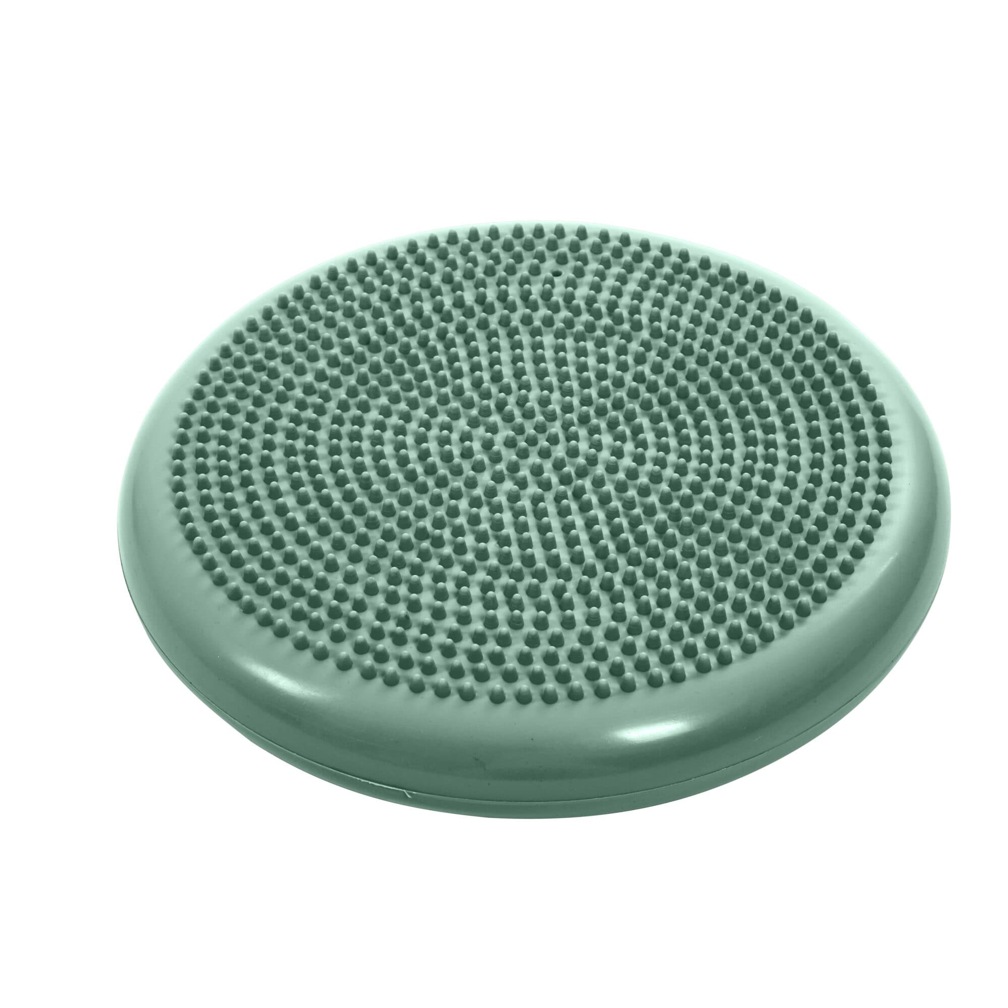 Kruuse Physio Tactile Balance Discus, Balansepute Styrketrening Fysioterapi Hund - 55 cm