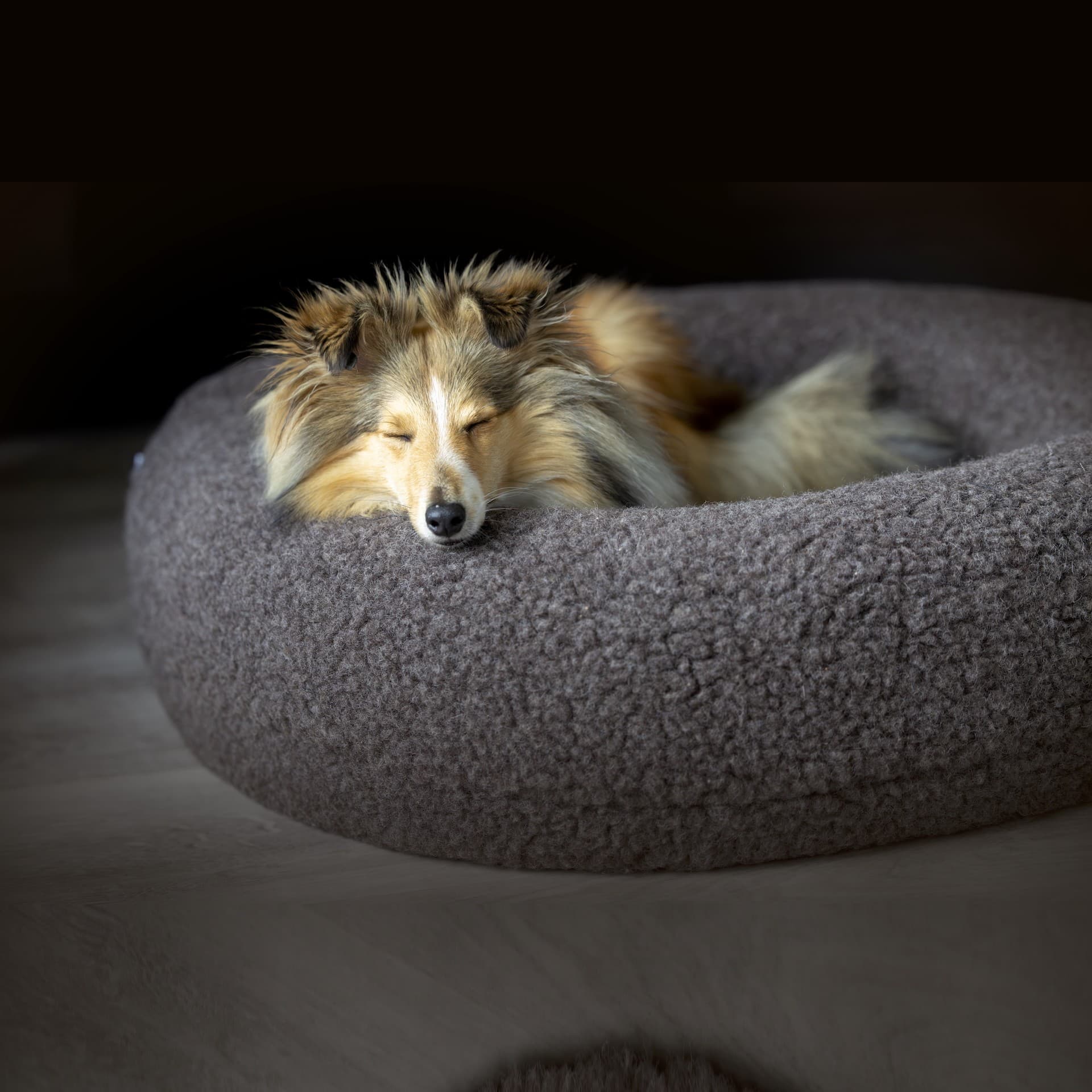 Canelana rund hundeseng i 100% ull - Large - Grå