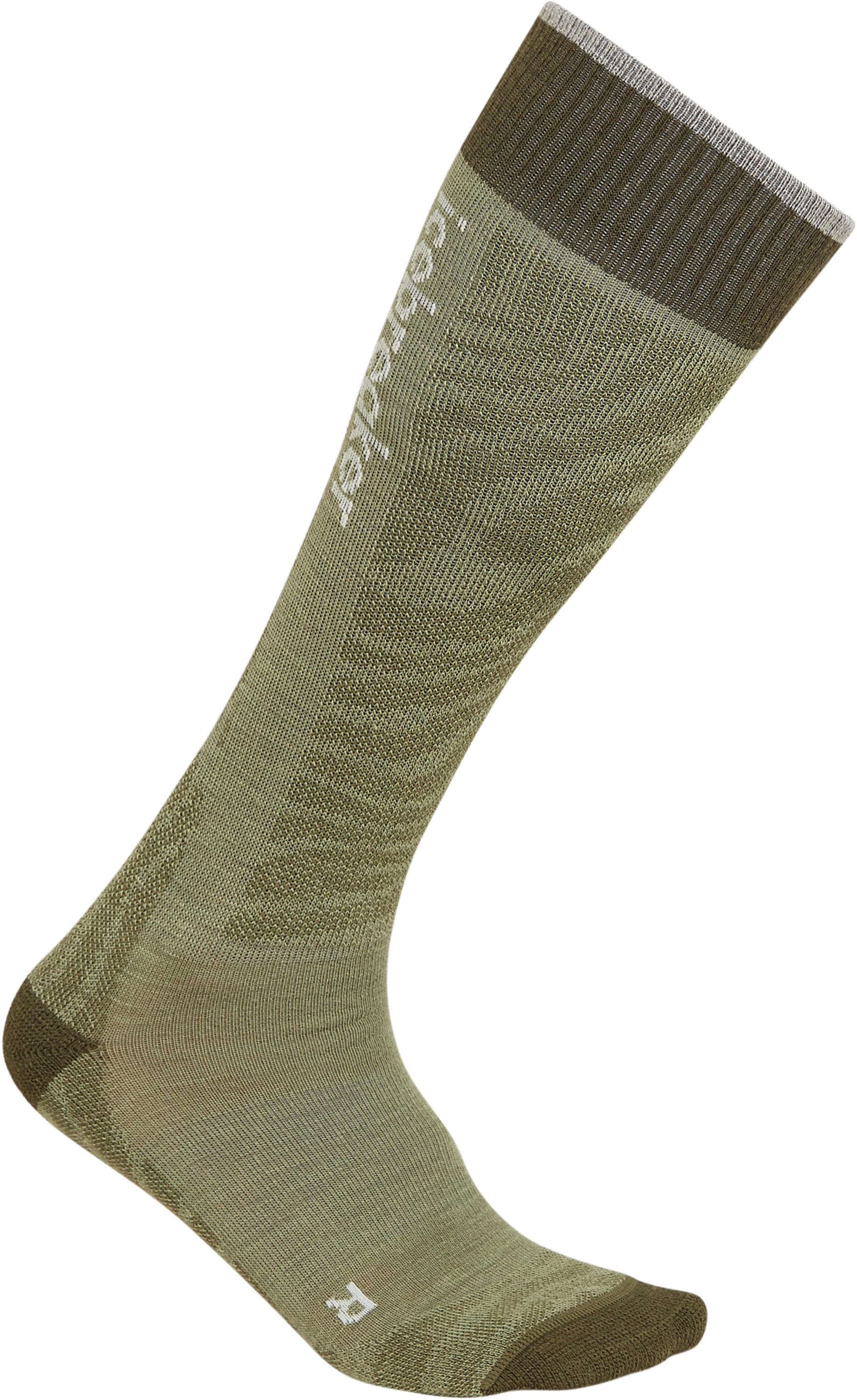 Icebreaker Ski+ Light OTC W's lichn/lodn/eth M